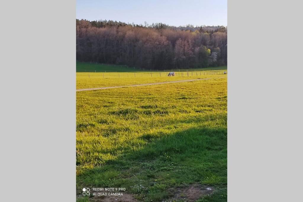 Schoene Helle Ferienwohnung In Waldnaehe Berching Zewnętrze zdjęcie